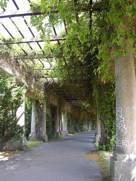 DSCN0468.JPG - Wrocław - Pergola.